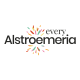 Every Alstroemeria